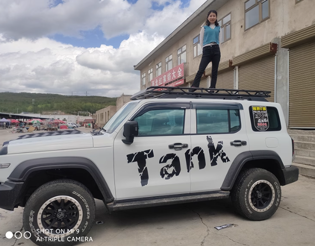 Thang leo treo xe hỗ trợ lên nóc Ô Tô (Mẫu 2)